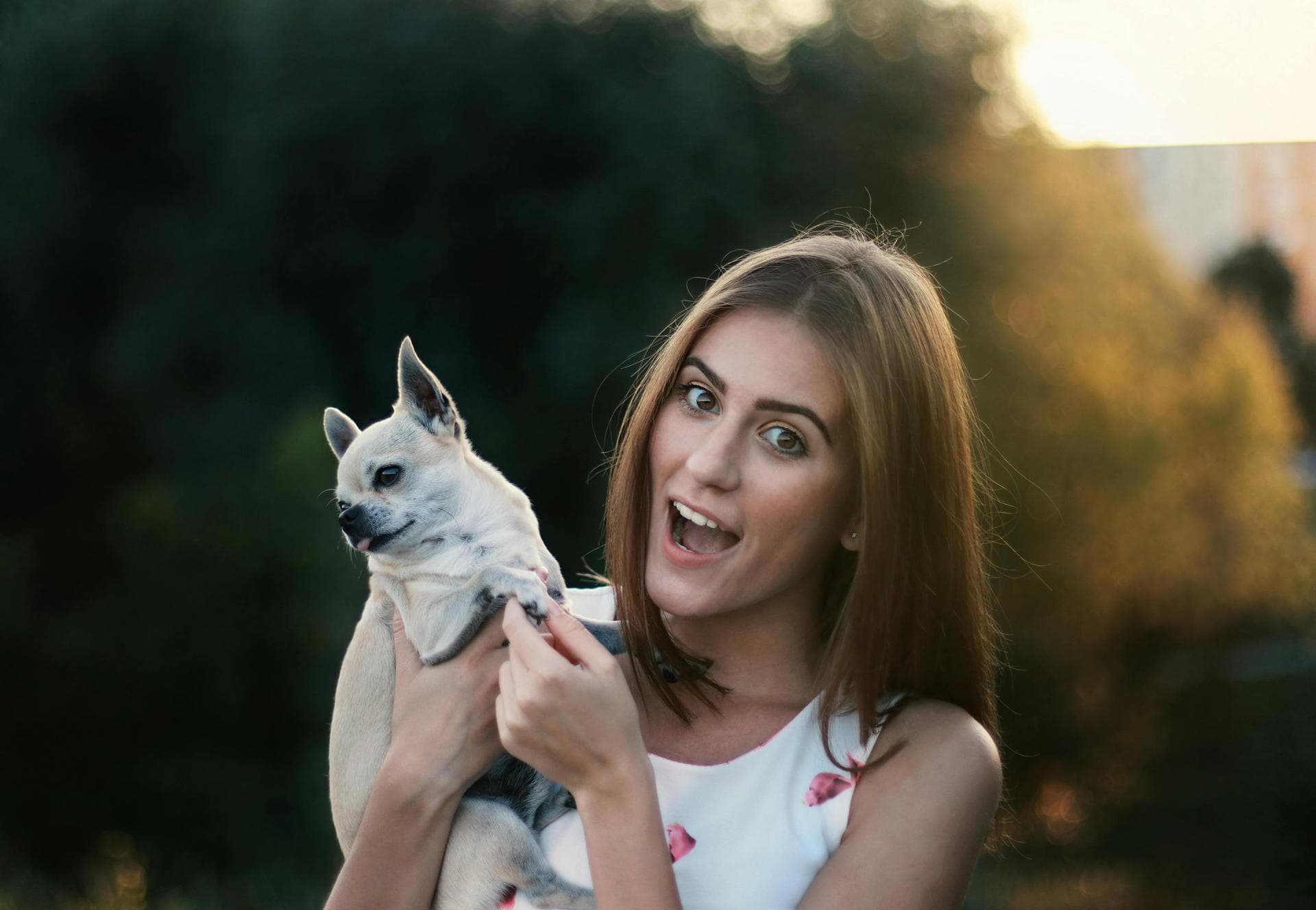 Rabies Vaccination Prices in Leeds